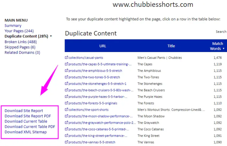 Можливість завантажувати звіти в інструменті Siteliner